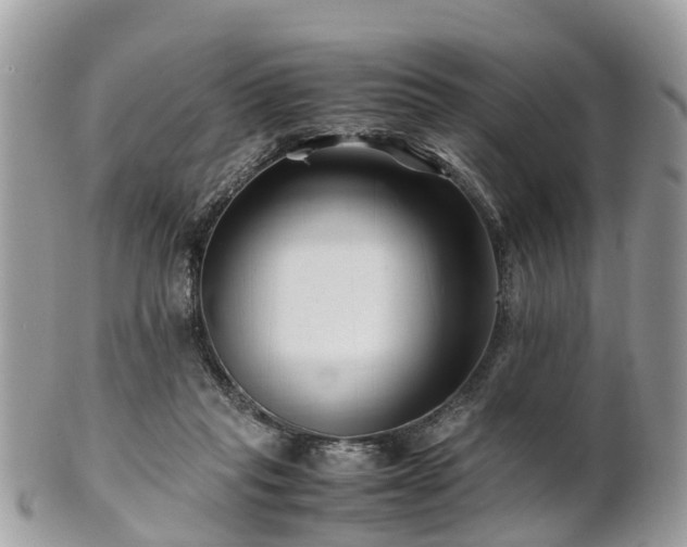 X0000101170261200807071228