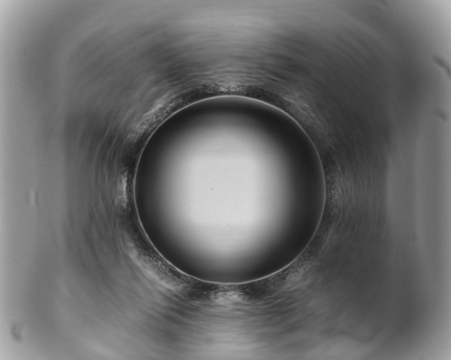 X0000101170262200807071228