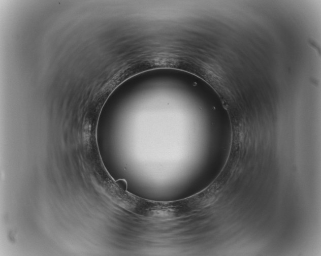 X0000101170263200807071228