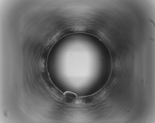 X0000101170264200807071228