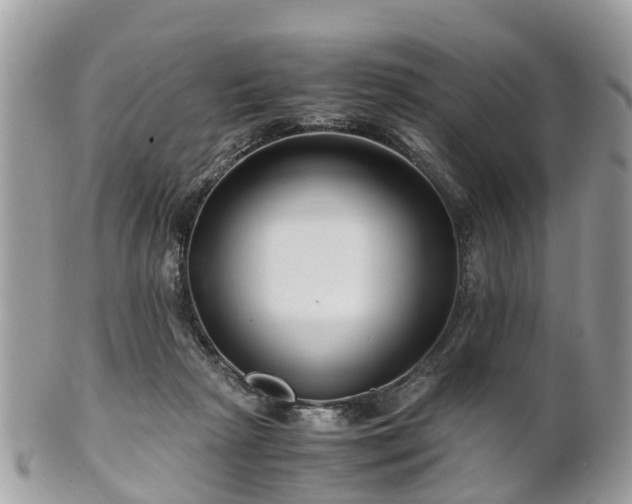 X0000101170265200807071228