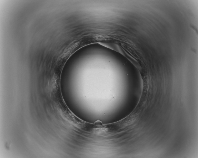 X0000101170266200807071228