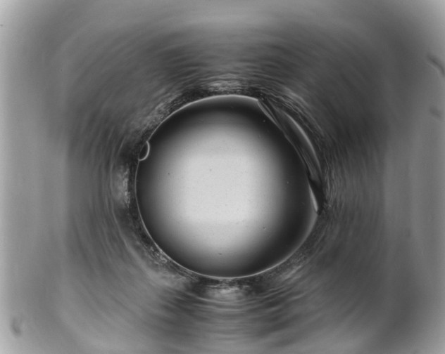 X0000101170267200807071228