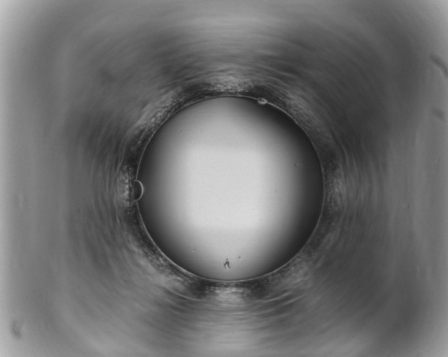 X0000101170268200807071228