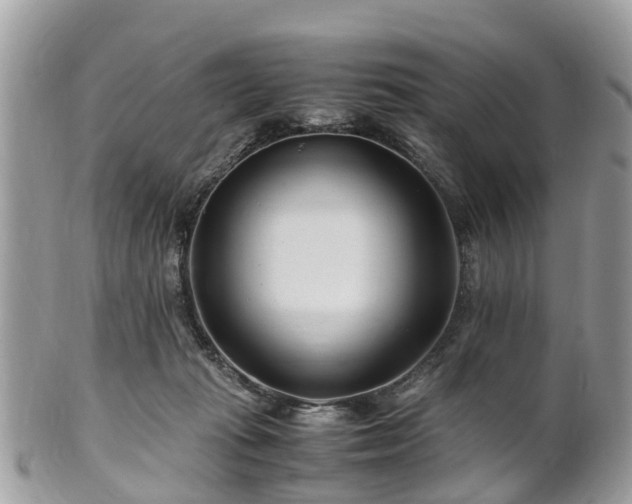 X0000101170269200807071228
