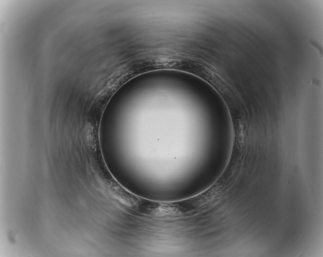 X0000101170270200807071228