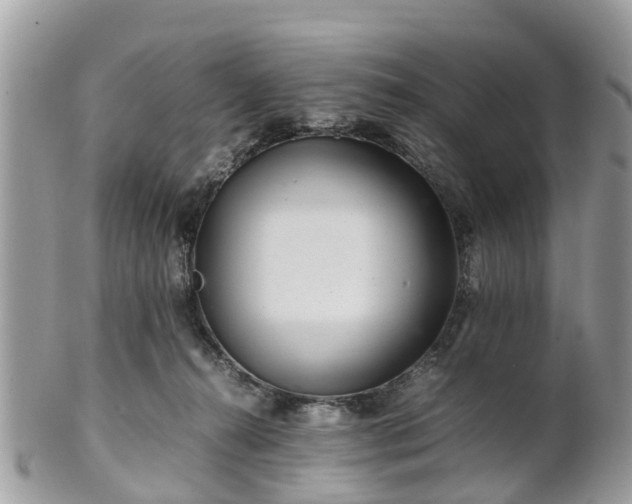 X0000101170272200807071228