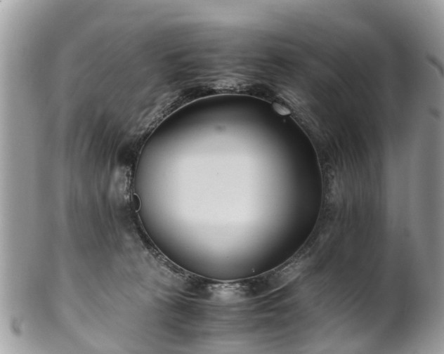 X0000101170273200807071228