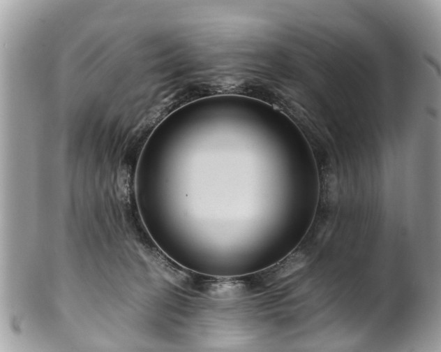 X0000101170274200807071228