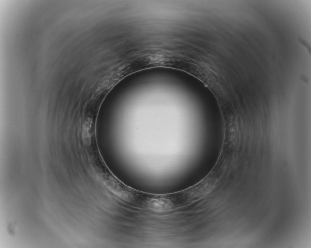 X0000101170275200807071228