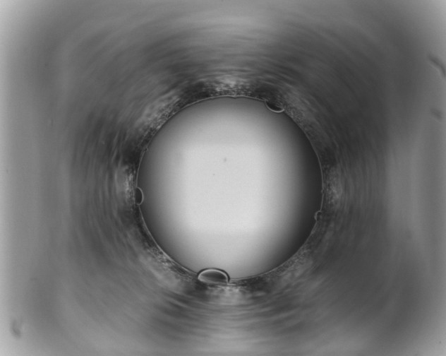 X0000101170276200807071228