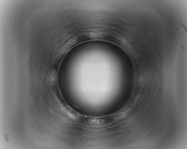 X0000101170277200807071228