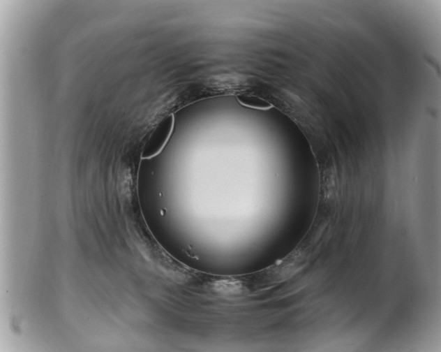 X0000101170279200807071228