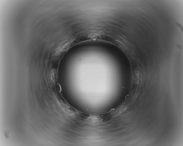 X0000101170280200807071228