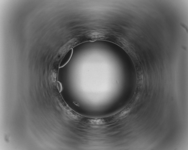 X0000101170281200807071228