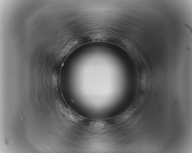 X0000101170282200807071228