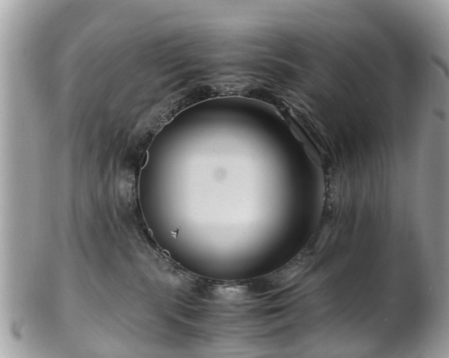 X0000101170283200807071228