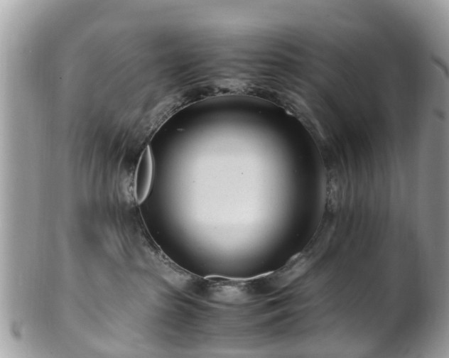 X0000101170285200807071228