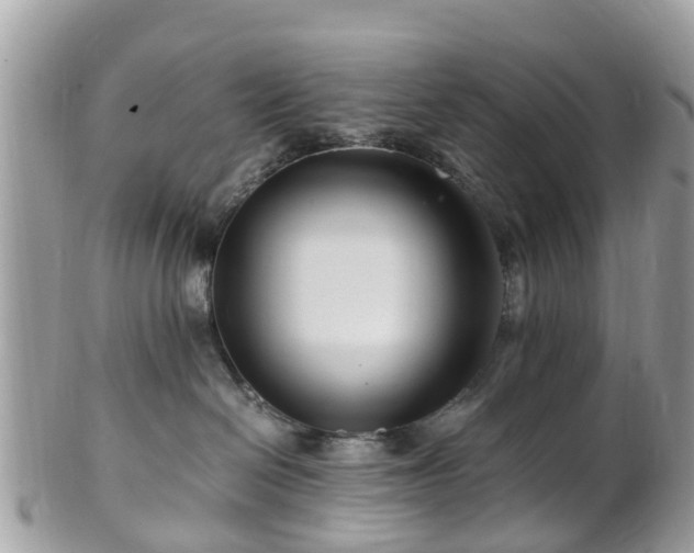 X0000101170286200807071228