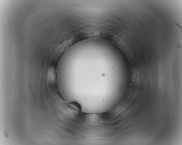 X0000101170287200807071228