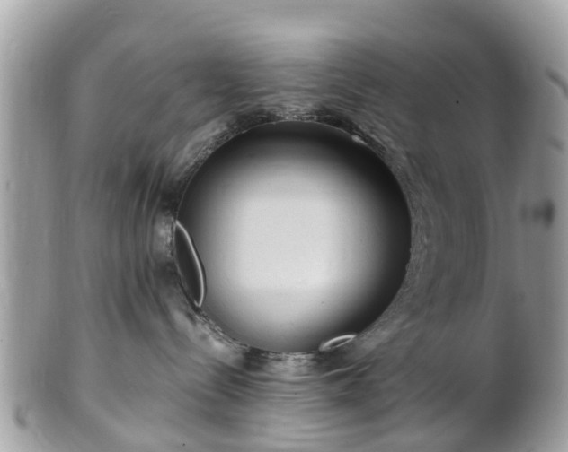 X0000101170288200807071228
