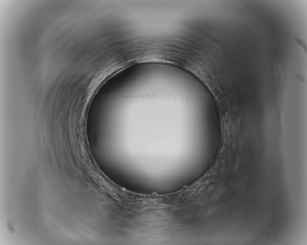 X0000101170289200807071228