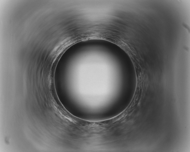 X0000101170290200807071228