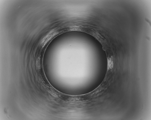 X0000101170291200807071228