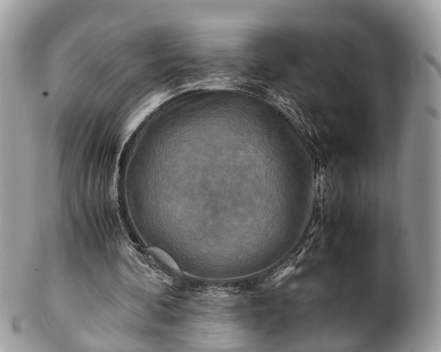 X0000101170292200807071228