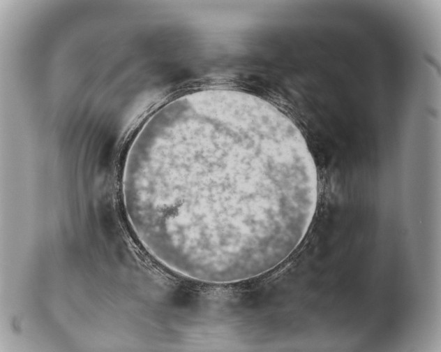 X0000101170293200807071228