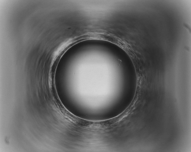 X0000101170294200807071228