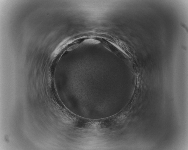 X0000101170295200807071228