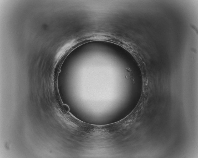 X0000101170296200807071228