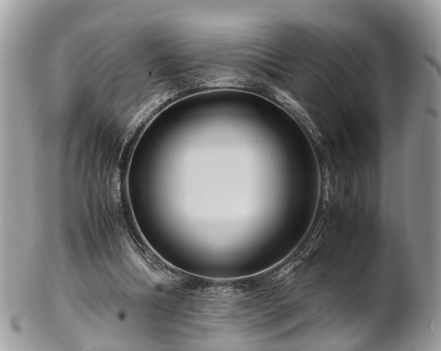 X0000101170298200807071228