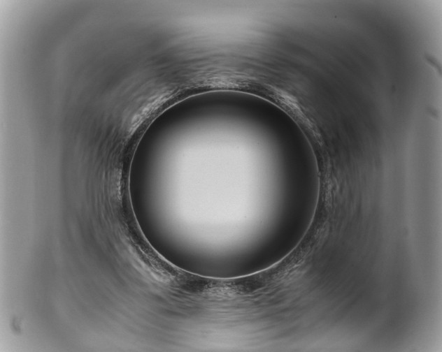 X0000101170299200807071228