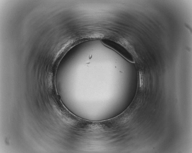 X0000101170300200807071228
