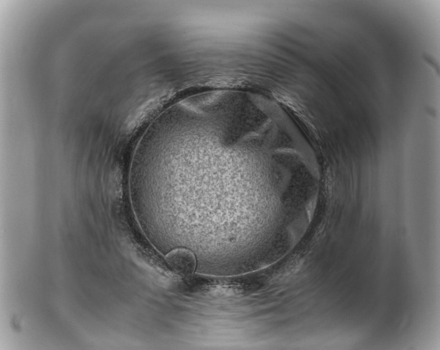X0000101170303200807071228