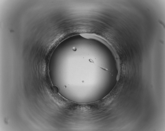 X0000101170304200807071228