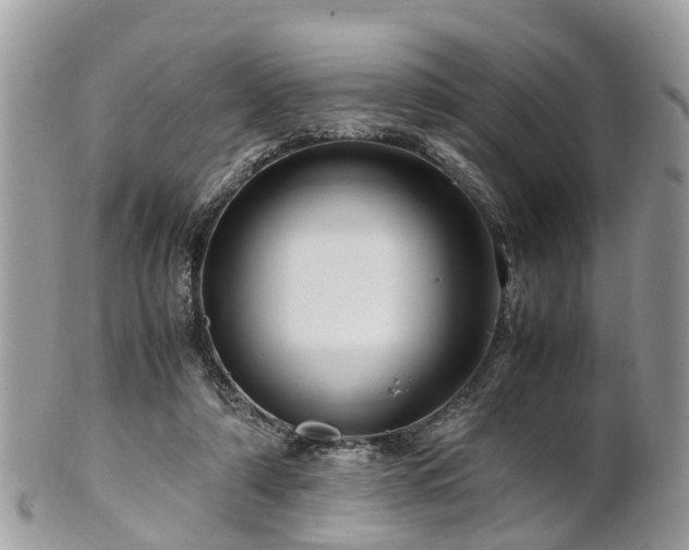 X0000101170306200807071228