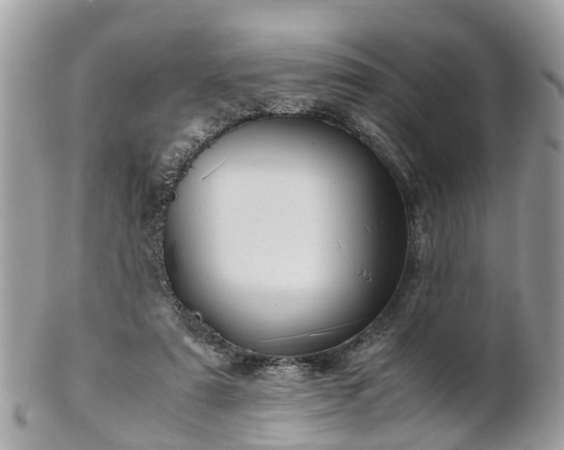 X0000101170307200807071228