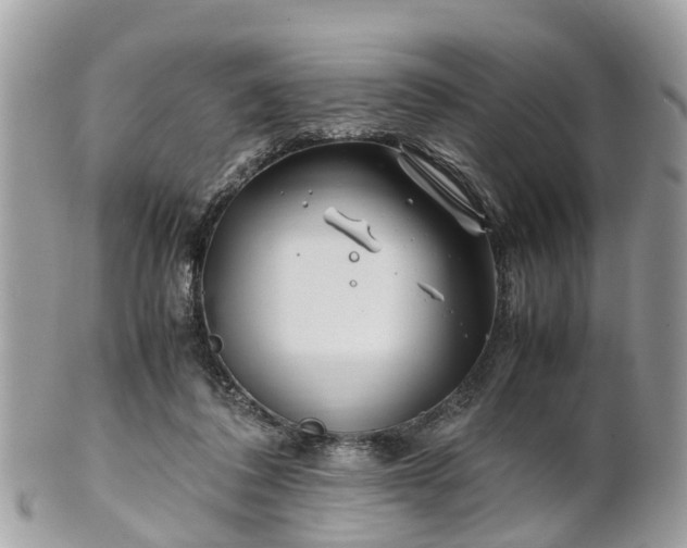 X0000101170308200807071228