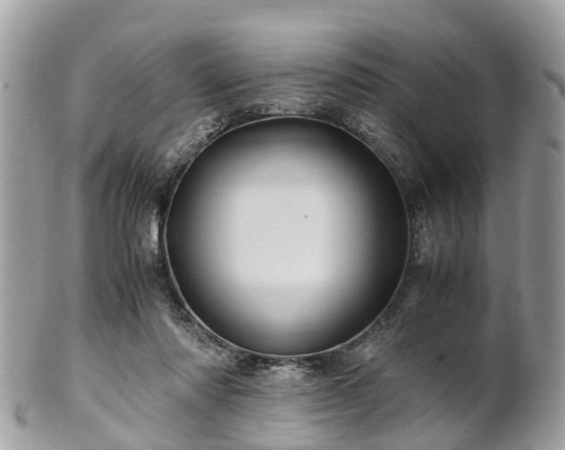 X0000101170310200807071228