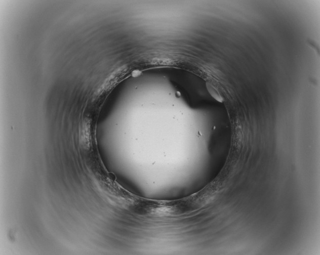 X0000101170312200807071227