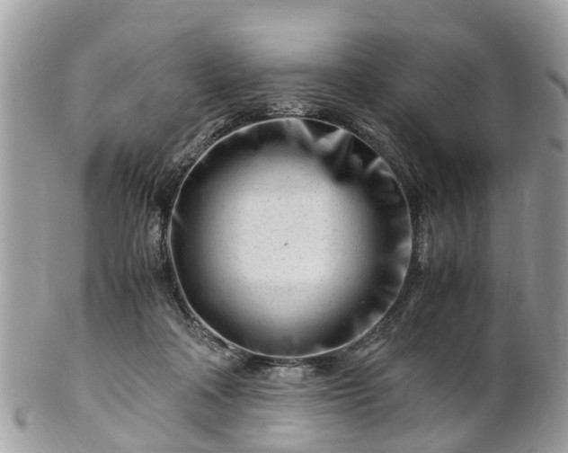 X0000101170314200807071227