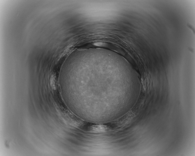 X0000101170316200807071227
