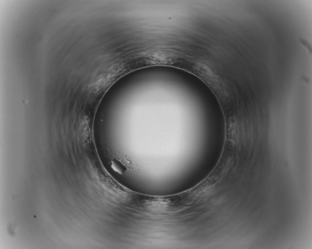X0000101170318200807071227