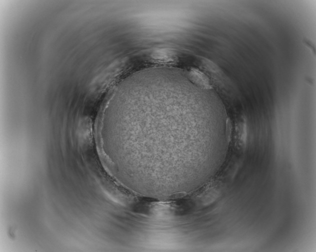 X0000101170320200807071227