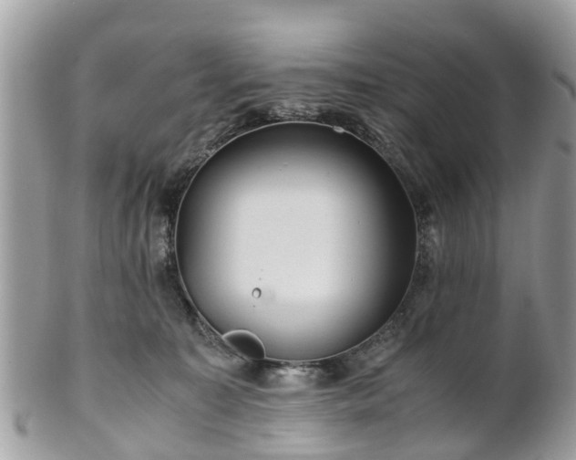 X0000101170323200807071227