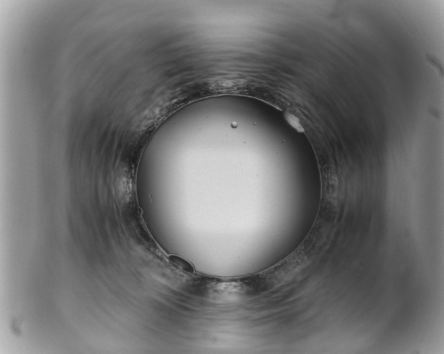 X0000101170324200807071227