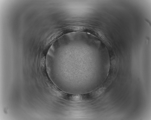 X0000101170325200807071227